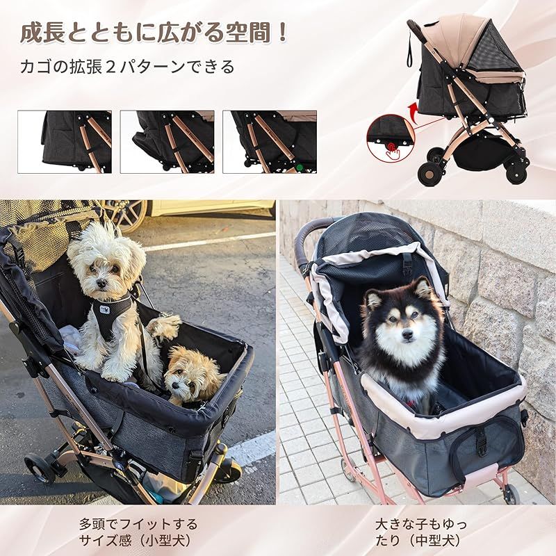 コンパクト收 自立式