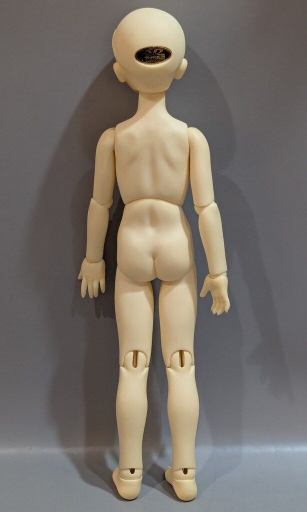 ボークス コーディネートモデル MSD女の子 F-17 ホワイト肌 WWW_STEELWINDOWSANDDOORS_COM