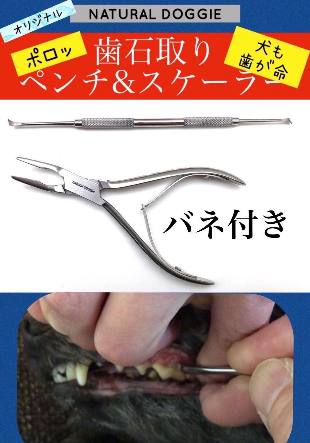 推奨！犬用 歯石取り ペンチセット - メルカリ