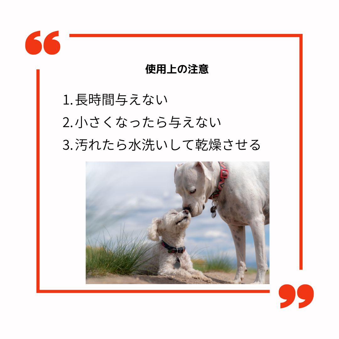 ガジガジ鹿の角 Sサイズ 約10㎝ 2本入り 【「くいしんぼ