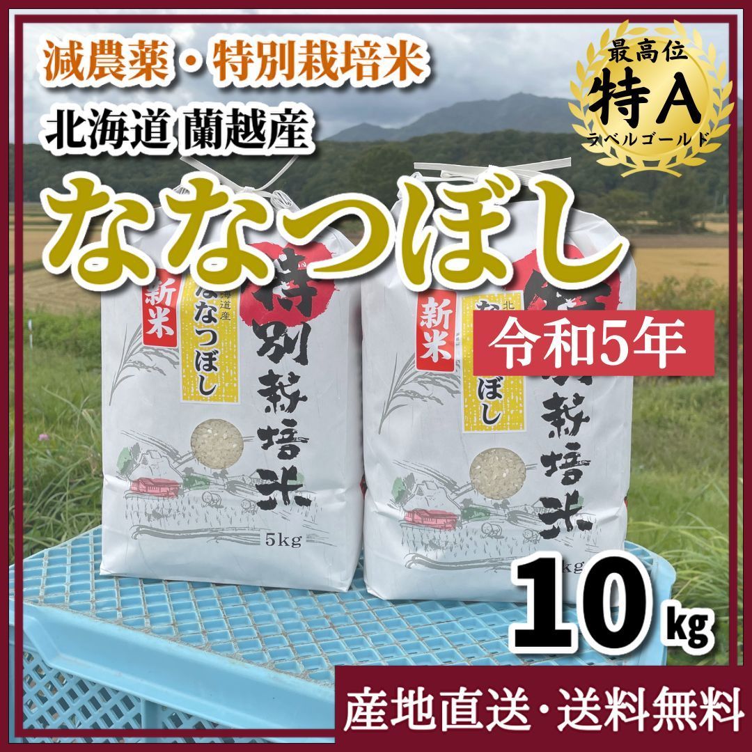 ななつぼし １等米 玄米20キロ 特A北海道米 令和５年産 農家直送