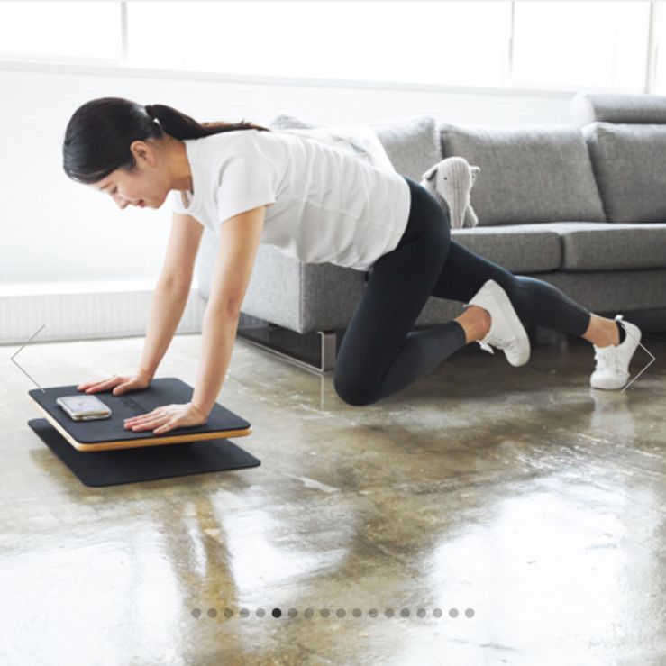 Plankpad PRO 新品！ プランクパッドプロ 体幹トレーニング バランス