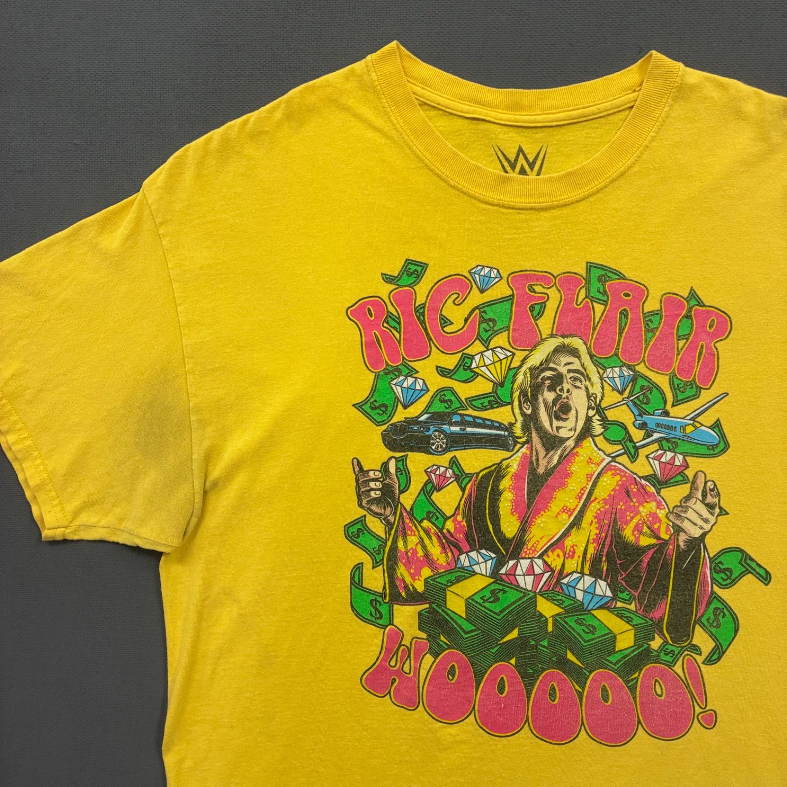 リック・フレアー　WWEクラシックスーパースター リック・フレアー Classic Superstar アクション・フィギュア