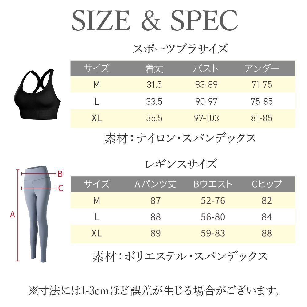 スポーツブラ レギンス 2点セット Lサイズ ヨガウェア セット