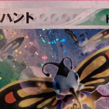 ポケモンカード ケムッソ カラサリス マユルド アゲハント ドクケイル