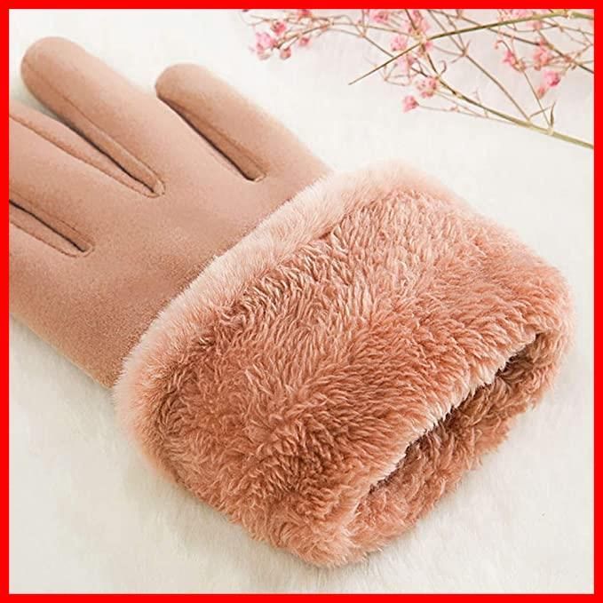 数量 冬小物 プレセント 旅行手袋 通勤通学 アウトドア バイク 自転車 手袋 裏起毛 女性冬用手袋 グローブ てぶくろ 暖かい 秋冬 スマホ操作対応 防寒 レディース BAYAGIN