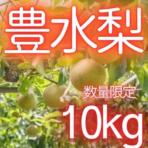 徳島県産 梨 豊水梨 小玉 約10キロ 数量限定 B品 - メルカリ