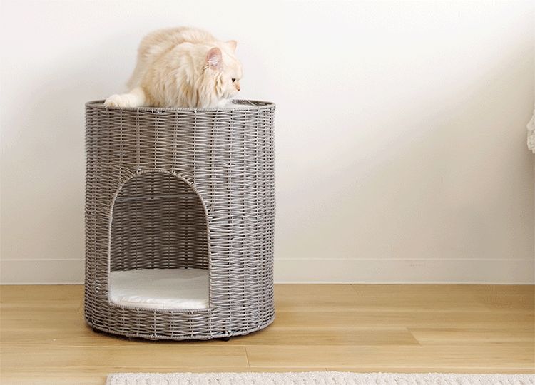 サイドテーブルにもなるペットハウス 高さ46.5cm