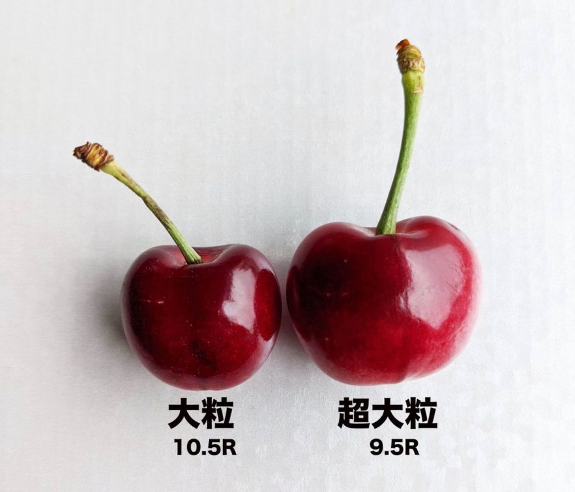 車厘子 美國櫻桃