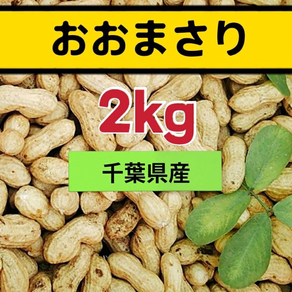 新物】生落花生 おおまさり 大粒 新鮮 2kg 本場千葉県産 - メルカリ