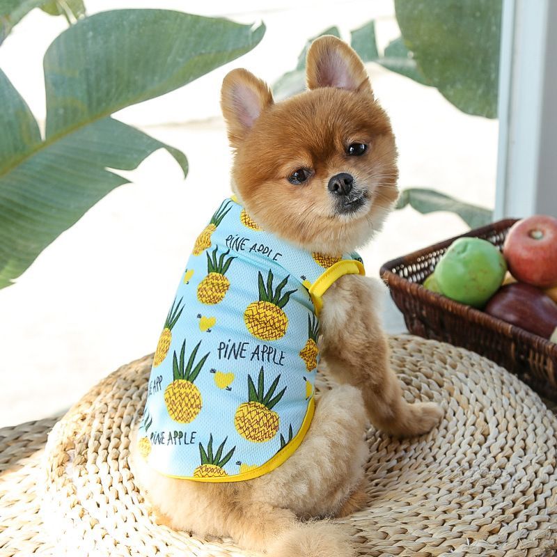 アトリエジジ　パイナップル柄 犬用タンクトップドレス & シャツ　２着セット ペットタンク パイナップル柄 犬服 猫服