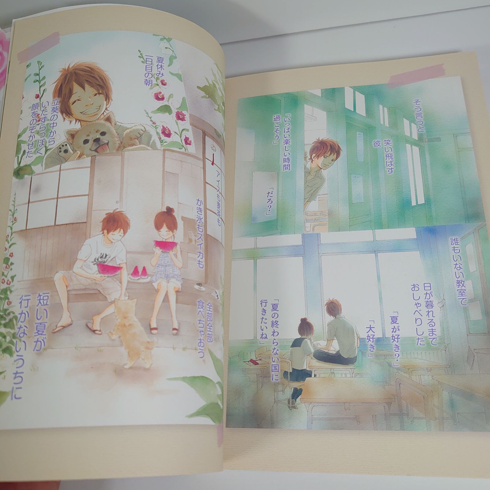 僕等がいた 小畑友紀作品集 (原画集・イラストブック) - メルカリ