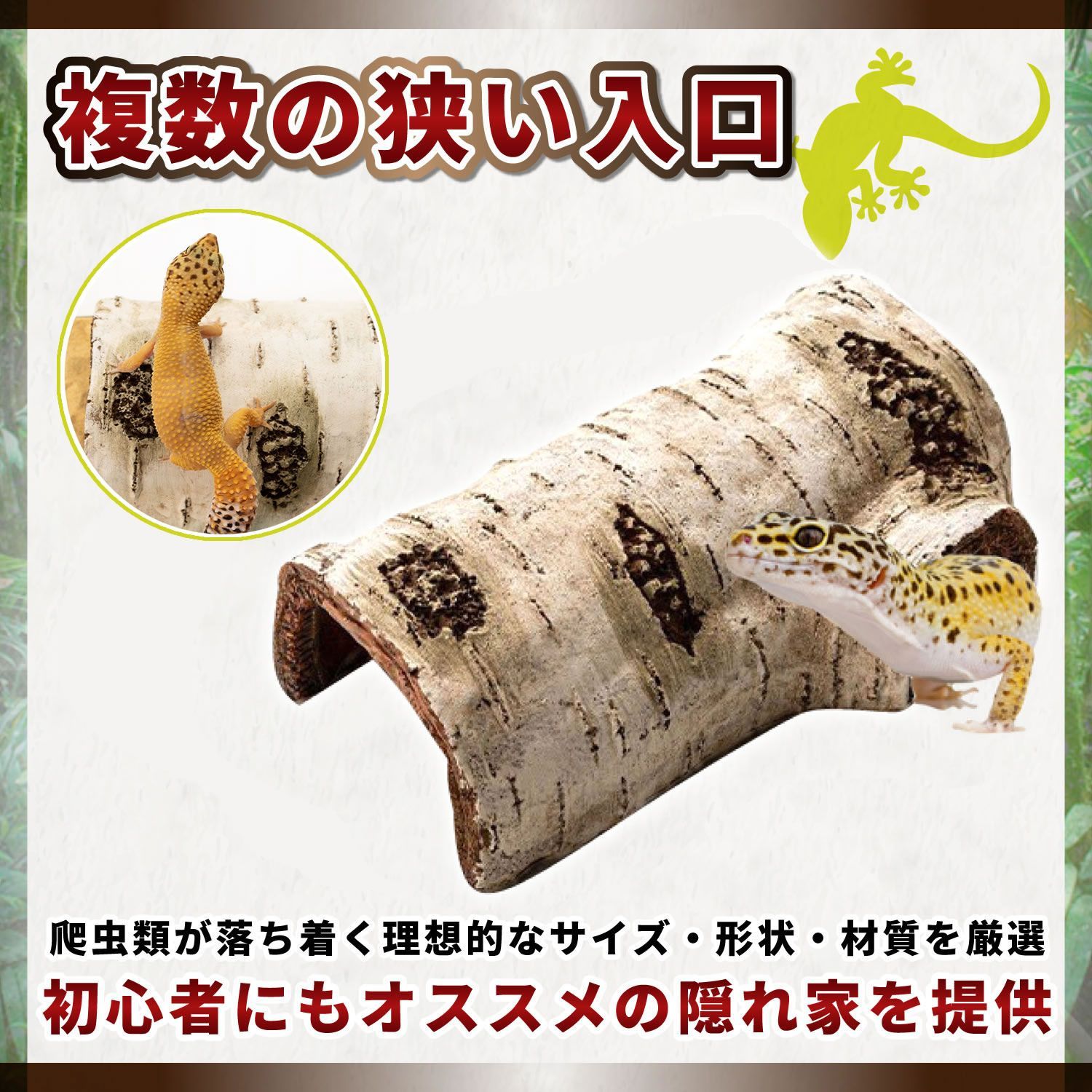 水槽 飼育セット レオパ カエル 【公式通販】