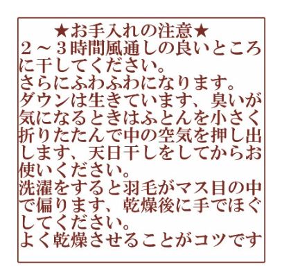 ダウンケット