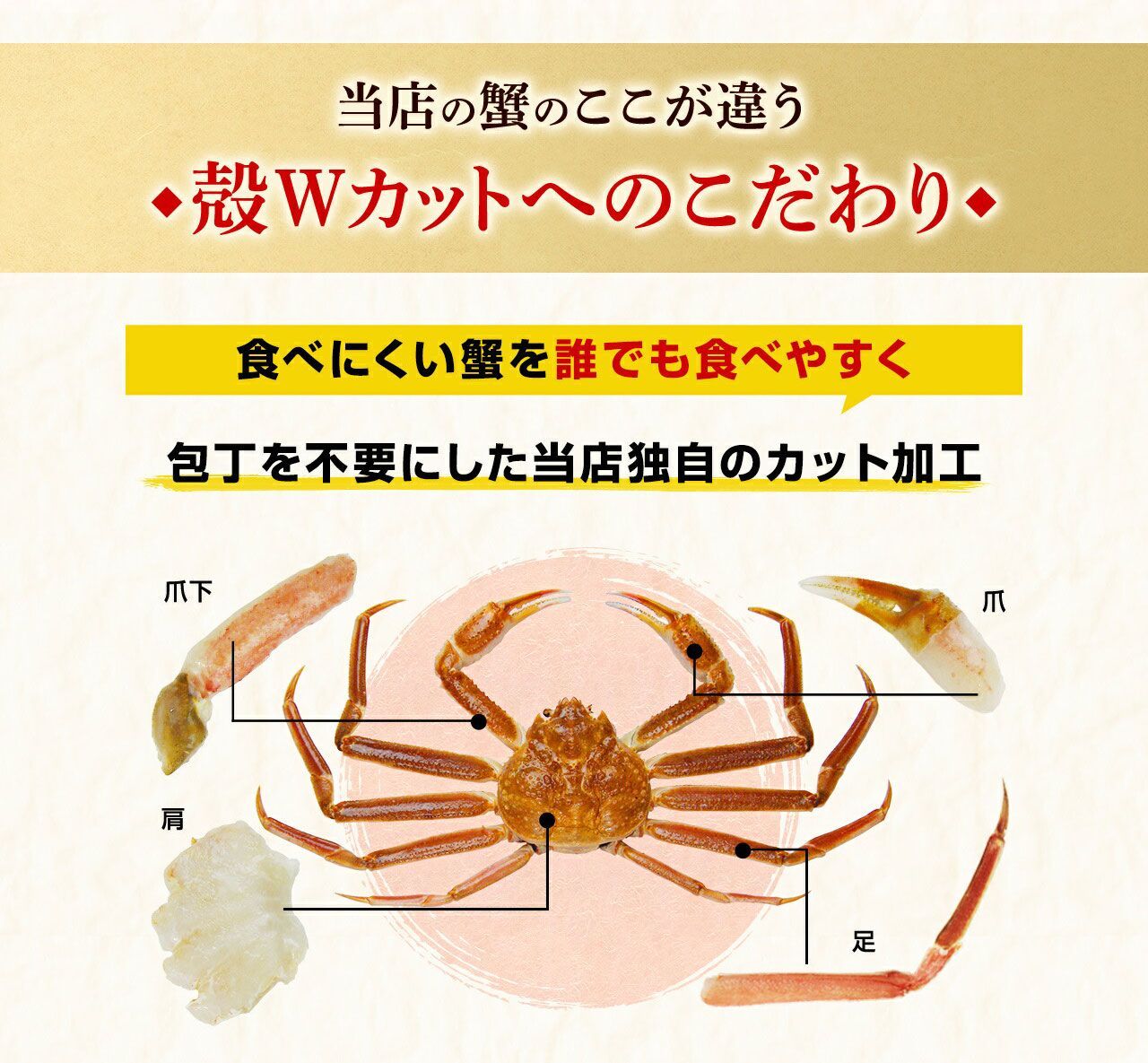 蟹 ズワイガニ