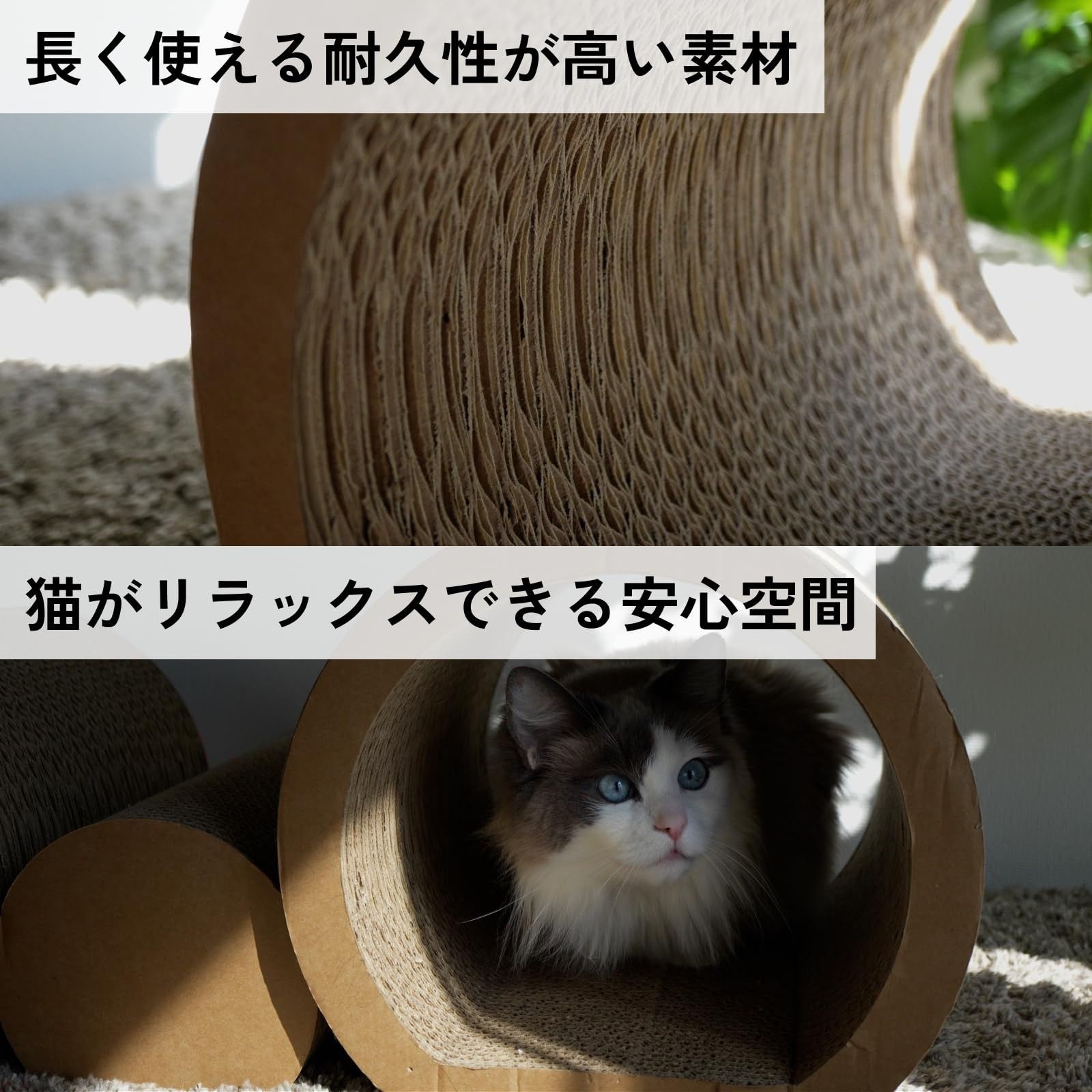 おしゃれ 多頭飼い対応