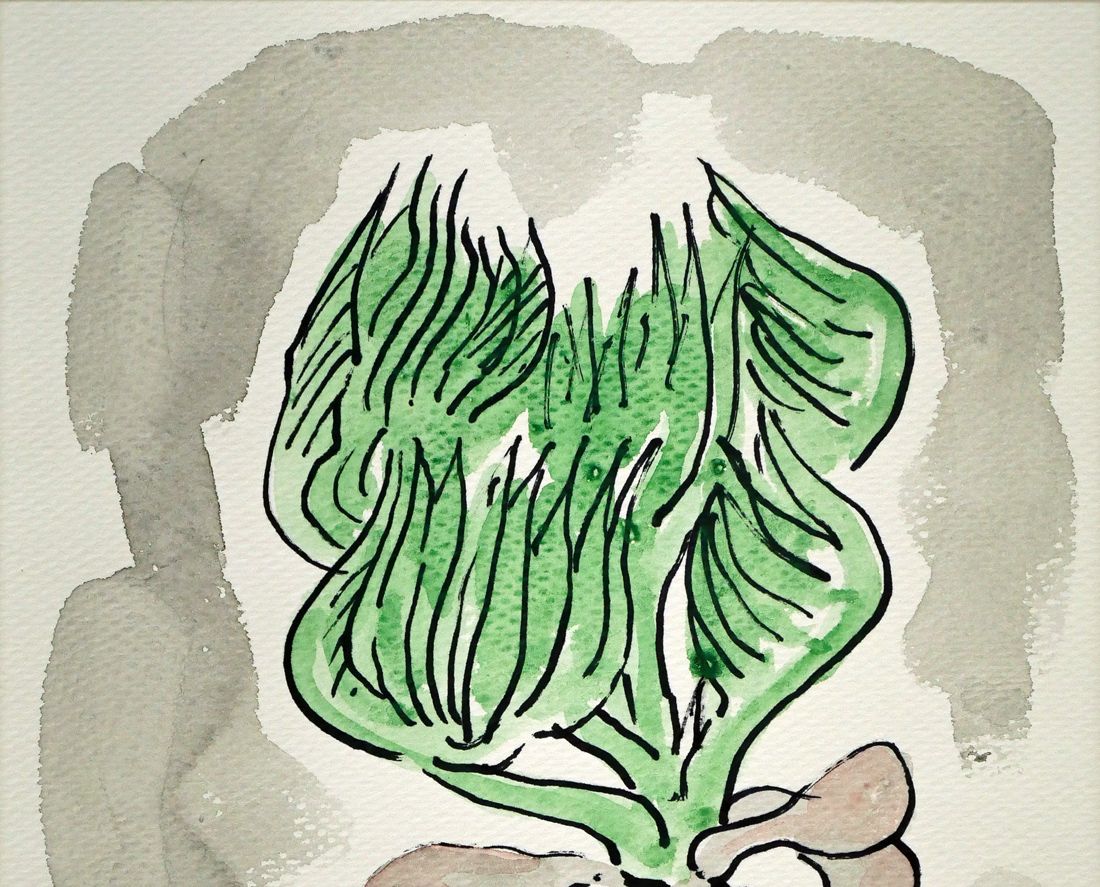 坂本直行　ふきのとう　水彩画　真作　六花亭　銘菓　貴重　北海道 □ 真作 坂本直行 きたこぶし 水彩画 1975年 額縁付 北こぶし