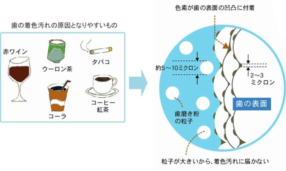 クリアデント歯のピーリングスポンジ