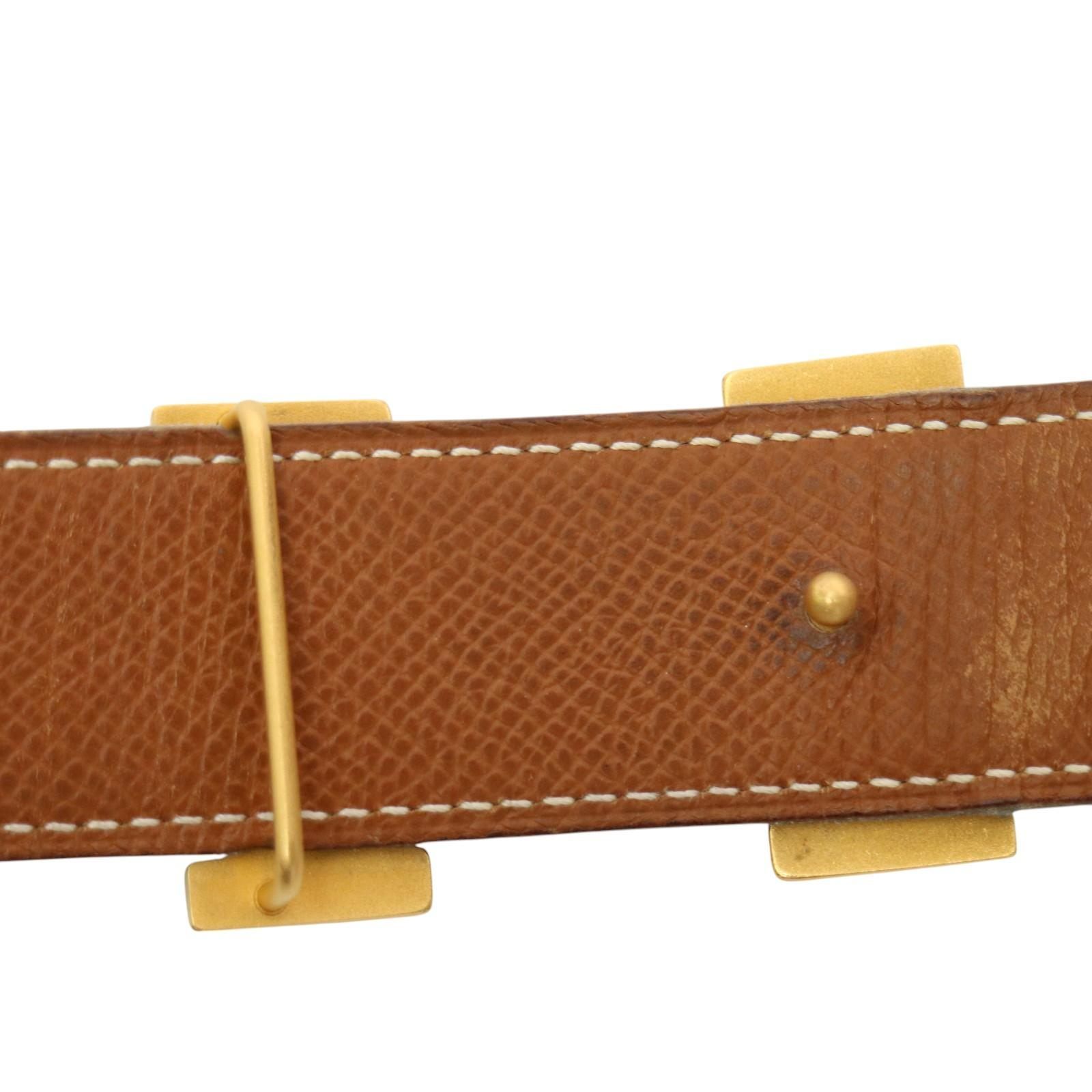 B250【新着】Pachypodium グラキリス（M）（現地球・抜き苗）【塊根