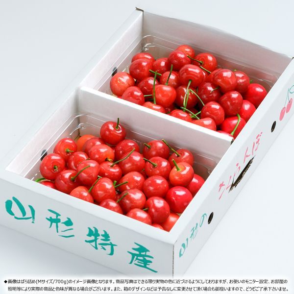 【出荷間近/6月上旬(6月7日)頃～出荷】 2025 父の日 プレゼント 山形県産 さくらんぼ 佐藤錦 700g (秀品/Mサイズ/化粧箱入り) サクランボ さとうにしき ギフト 贈り物 お祝い 内祝い ご家庭用 山形県 山形県直送 グルメ お取り寄せ