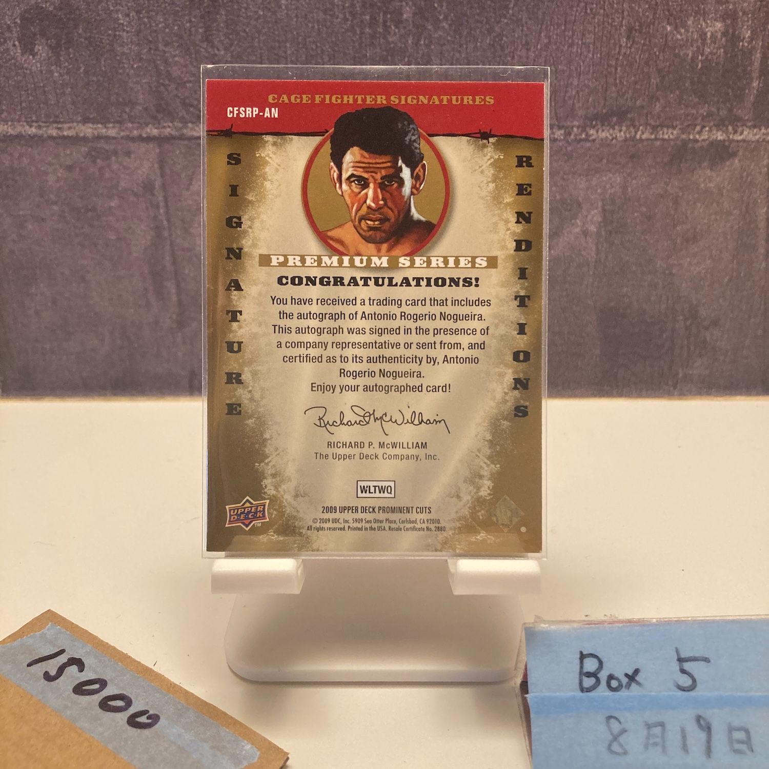 2009 Upper Deck Prominent Cuts Antonio Rogerio Nogueira 017 100 直筆サイン Premium Series カード