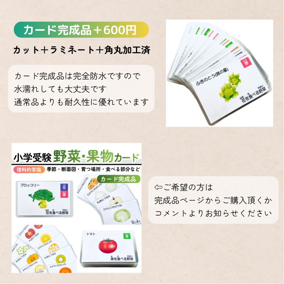 野菜・果物カード 小学校受験教材 理科的常識 幼児教育 知育 断面図 旬の季節 - メルカリ