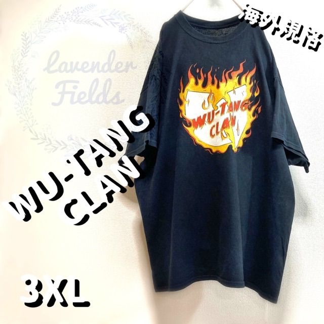 ウータンクランバンドTシャツラップRAPファイアーWU-TANGCLAN大きい 