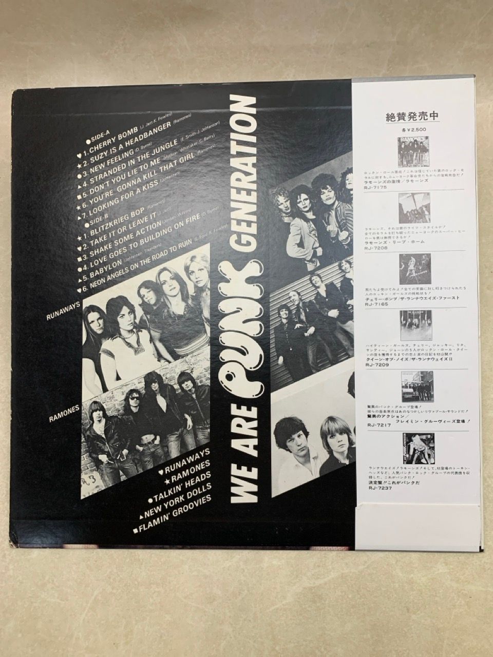 LP 帯付 ライナー欠 決定盤！これがパンクだ WE ARE PUNK GENERATION