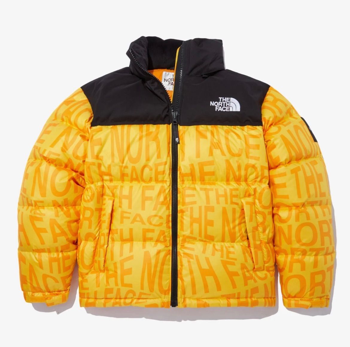 ［新品未使用、海外限定］north faceノースフェイスジャケット 新品未使用 THE NORTH FACE ノースフェイス マウンテンパーカー