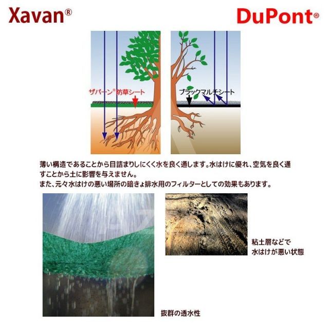 DuPont｜＜2本セット品＞防草シート ザバーン350G 1mx30m グリーン XA-350G1.0 高耐久・強力タイプ (ドット印刷有り） デュポン ザバーン 防草シート 350グリーン (高耐久・強力タイプ&frasl;厚さ