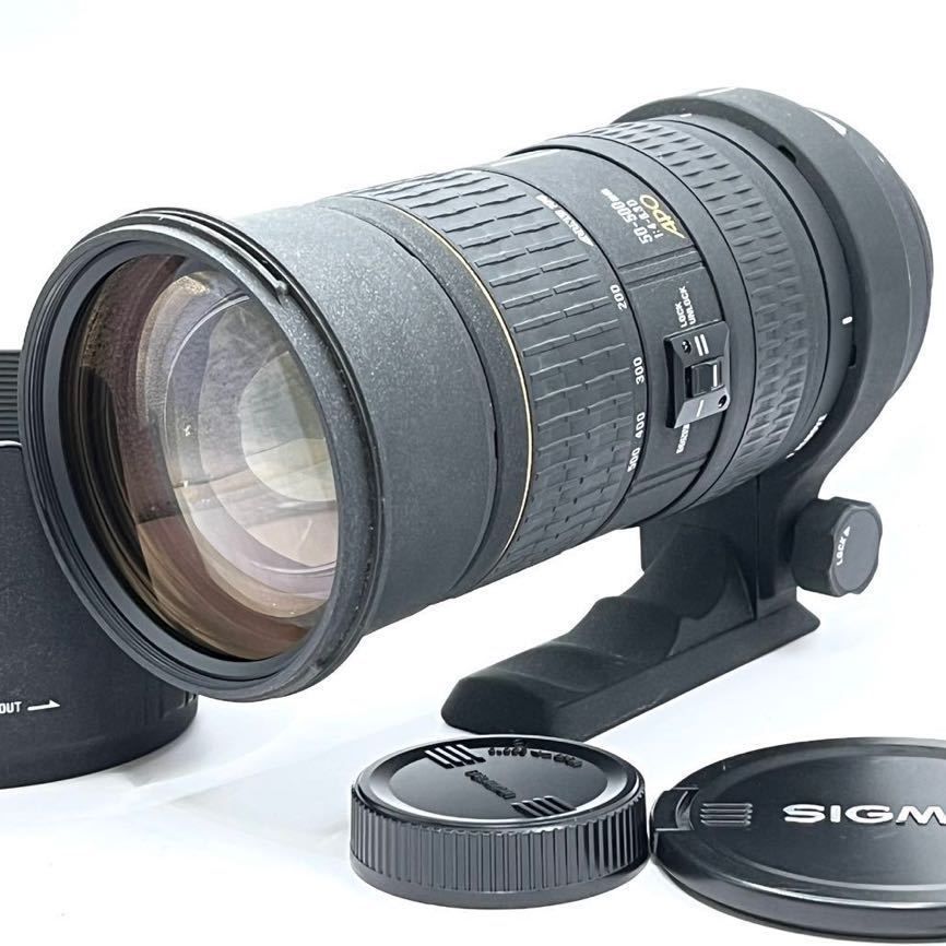 SIGMA APO 50-500 mm F4.5-6.3 Nikon ニコン - レンズ(ズーム)