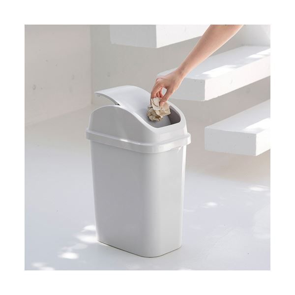 セパスイング 25