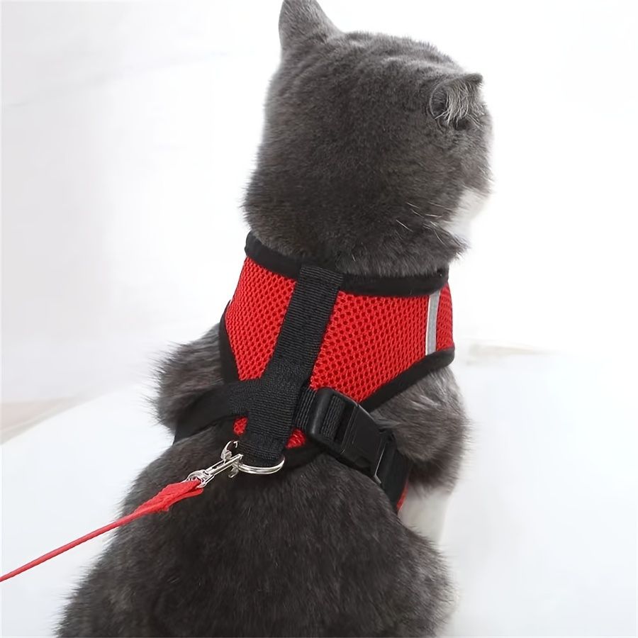 ペット用安全ハーネス＆リードセット 小型犬や猫の外出