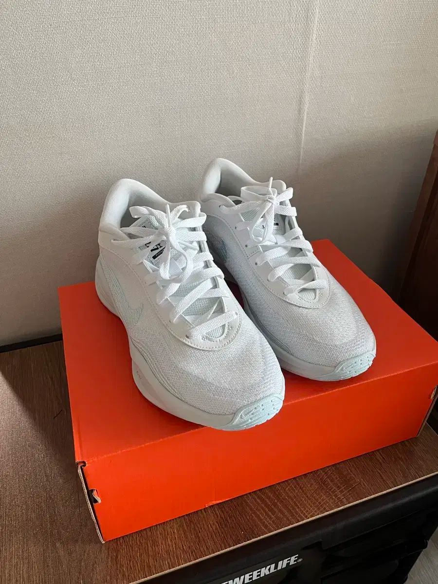 NIKE ナイキ GT ハッスル アカデミー EP
