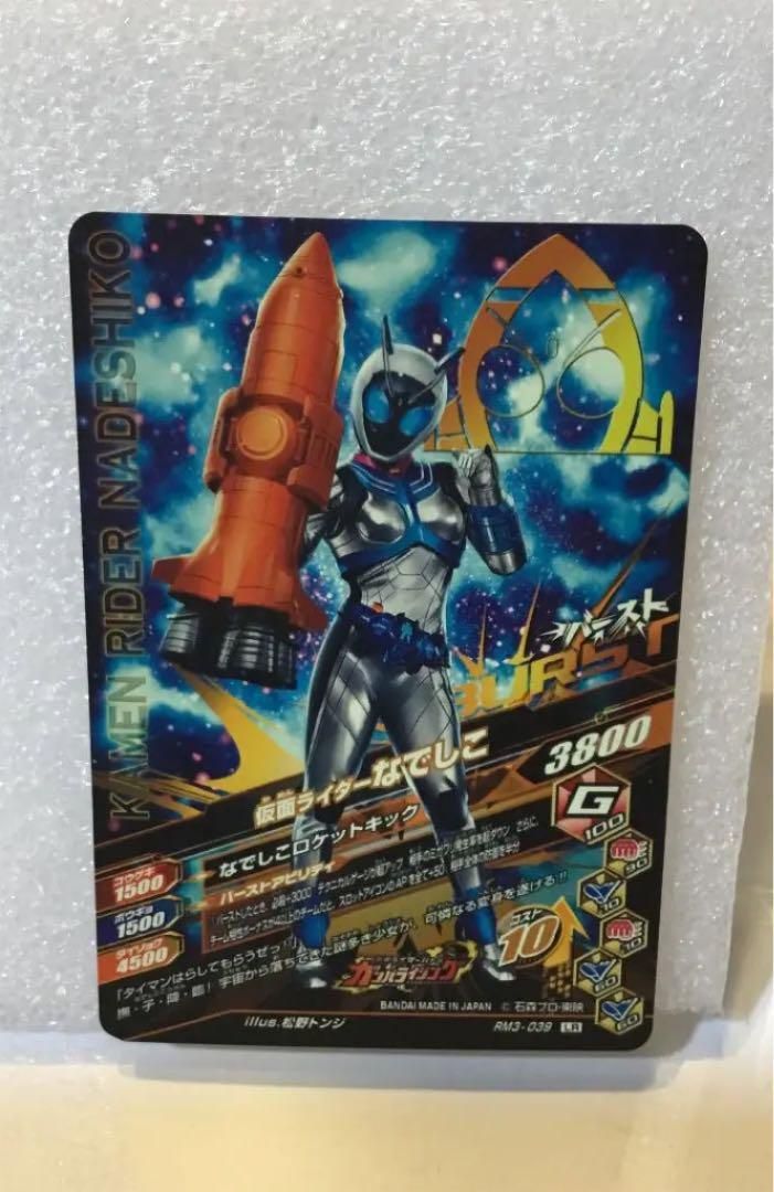 仮面ライダー なでしこ LR - その他