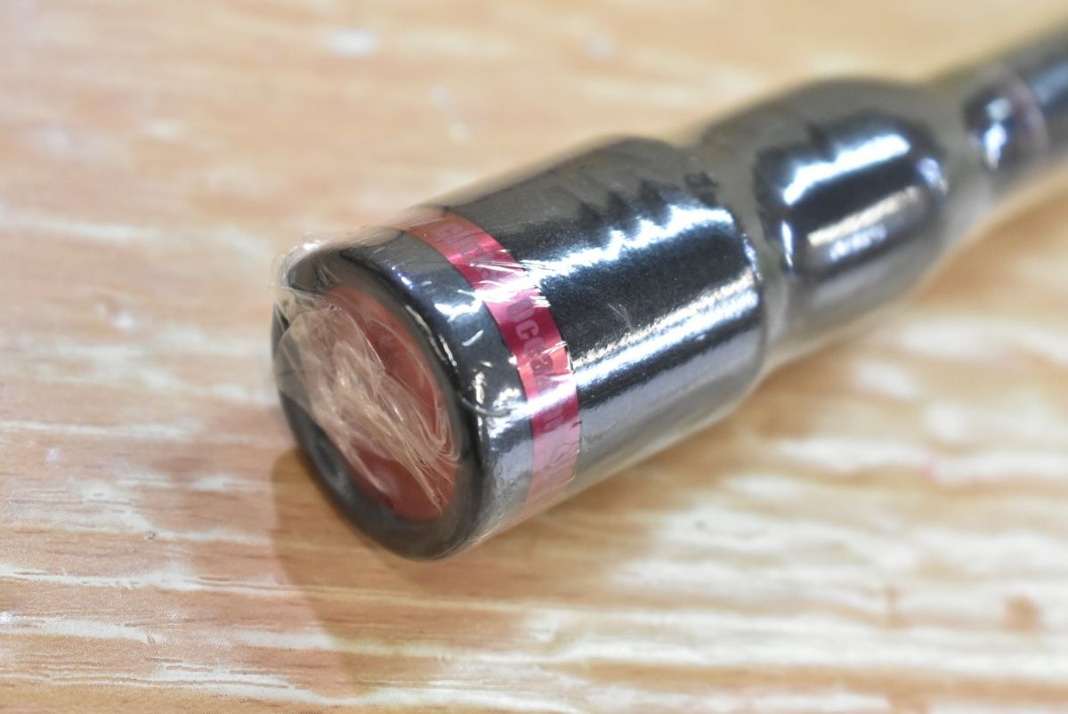 アオリイカ コウイカ