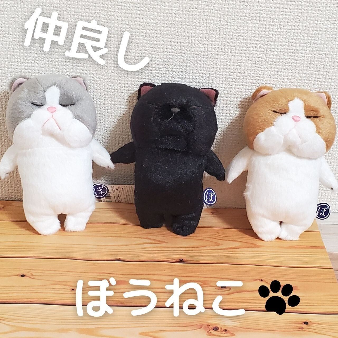 フワフワ手触り♪ぶさかわぼうねこ 棒状のねこがかわいい寝姿の癒し系
