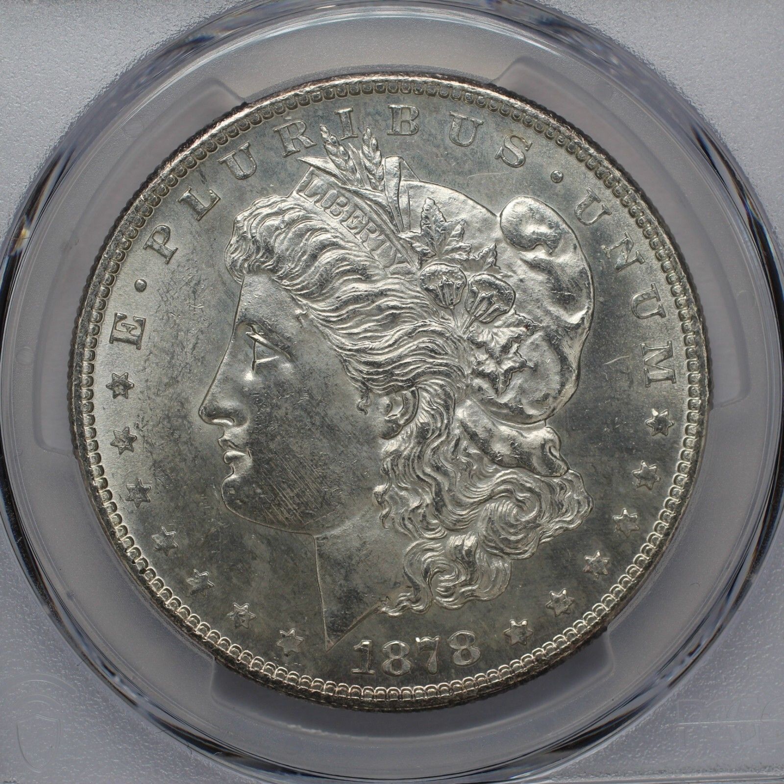 Silver Dollar
