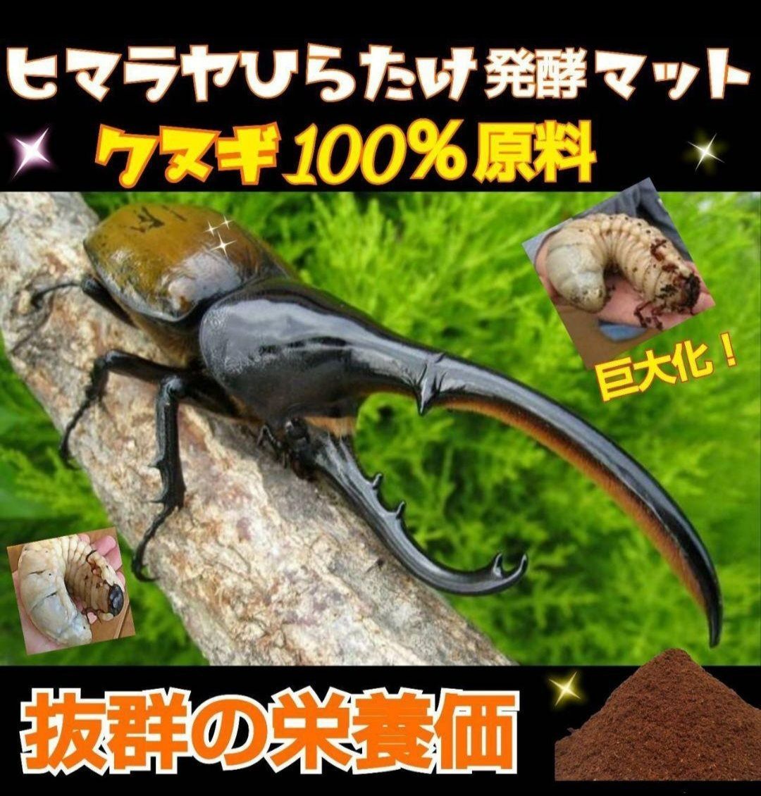 カブトムシ幼虫の餌 産卵に抜群！ 栄養たっぷりで大きくなります