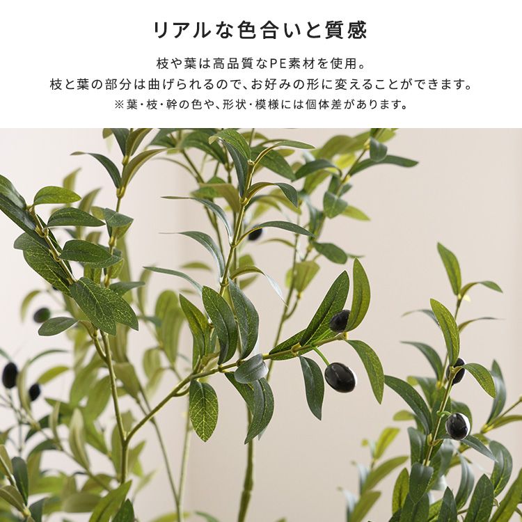 Mサイズ 北欧