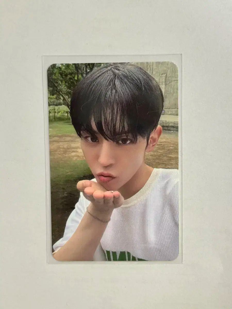 モモタロ タニタ×ももクロ、メンバー4人のとりおろしボイスを収録した音声