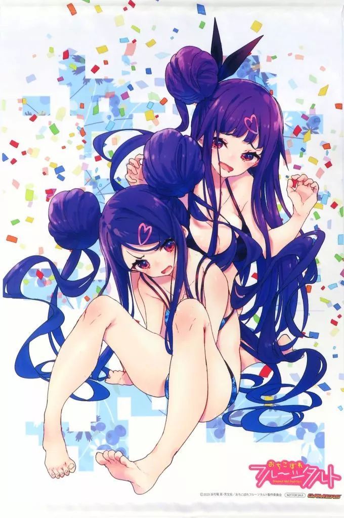 中古】タペストリー 関野ロコ＆関野チコ 原作描き下ろしイラスト使用B2 
