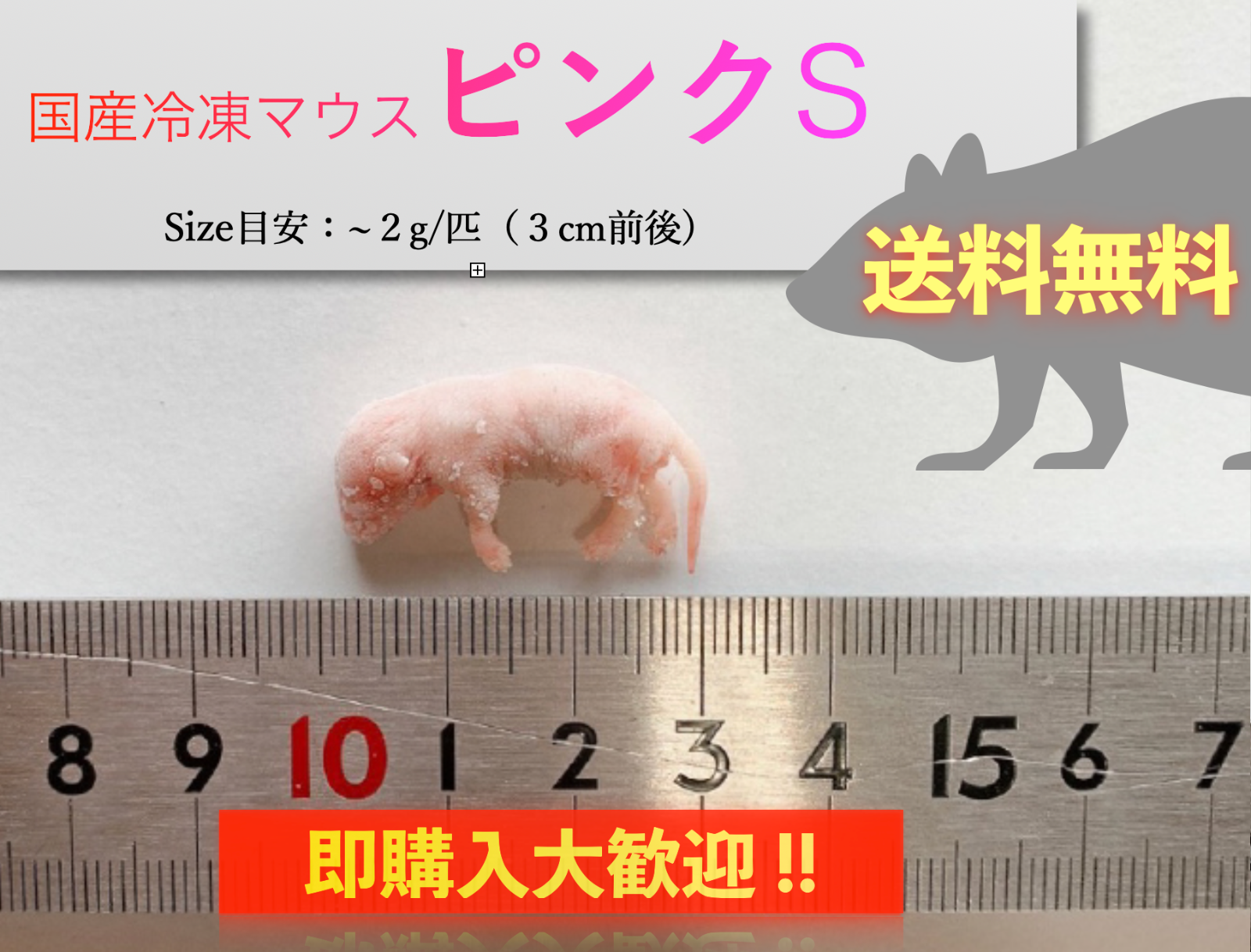 国産冷凍マウス ピンクS 30匹 - ペットフード