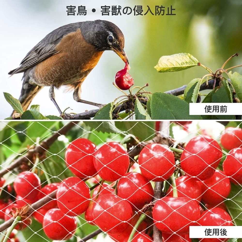 防鳥ネット 鳥よけネット 鳩よけ ベランダ 鳥避けネットぼうちょうネットかすみ 網幅5m×長さ5m 果樹守りや野菜栽培 猫侵入脱出防止 透明色  2.5cm 細目 - メルカリ