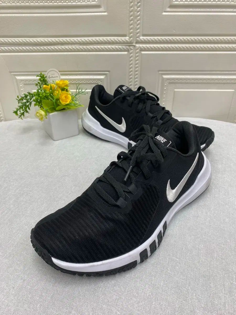 ナイキ フレックス