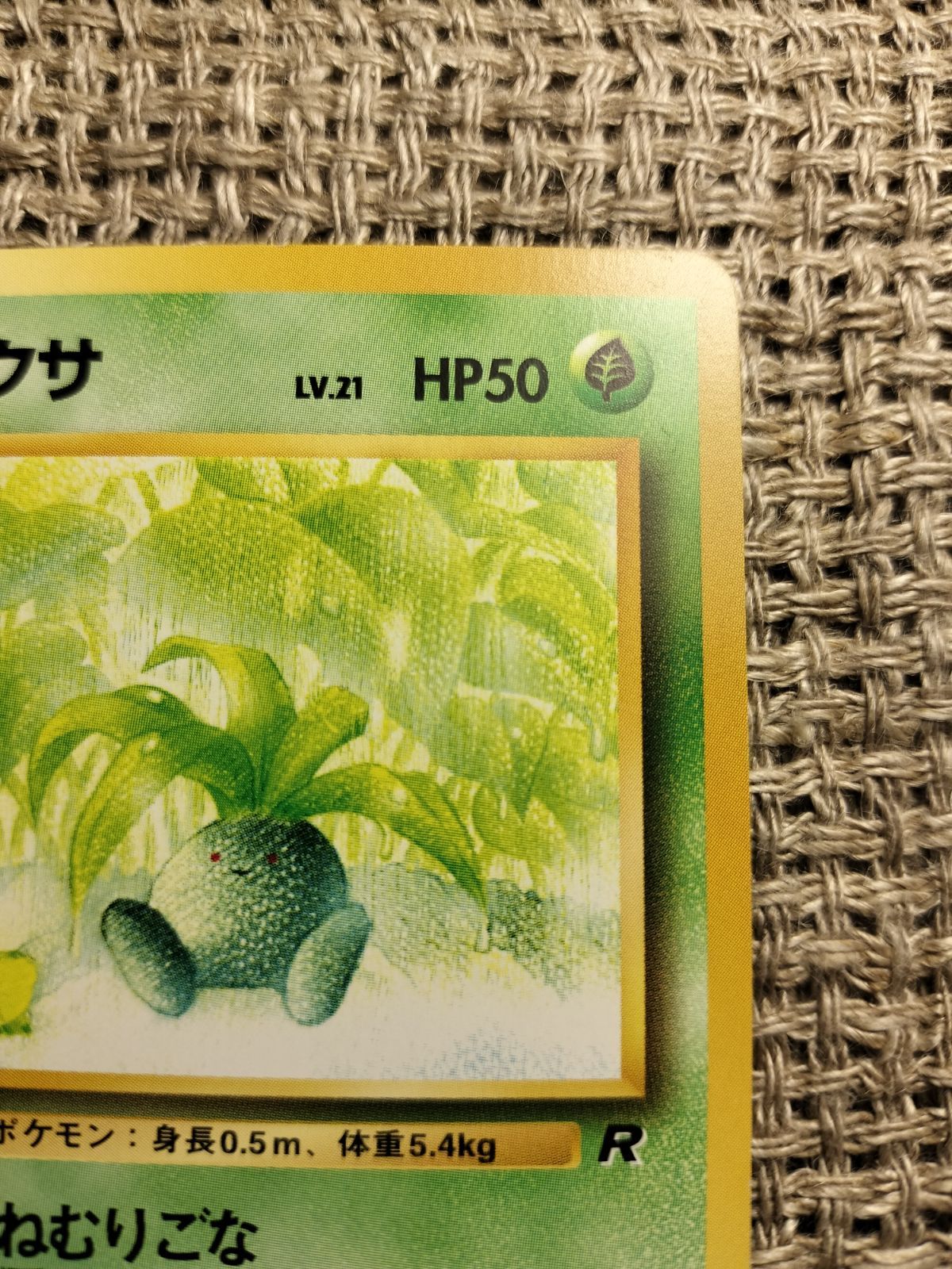 NO005_ナゾノクサ_ポケモンカード_旧裏 - メルカリ