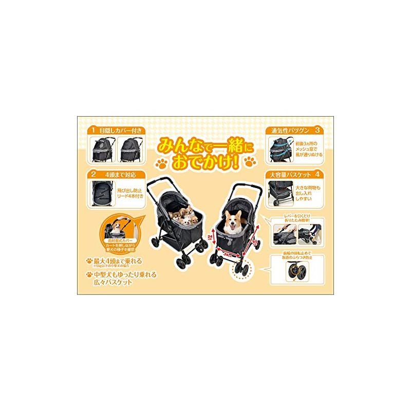 ジェックス