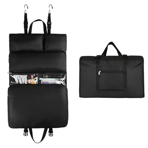 山採り 野生株 ディッキア Dyckia fosteriana Senges ④ それからどう