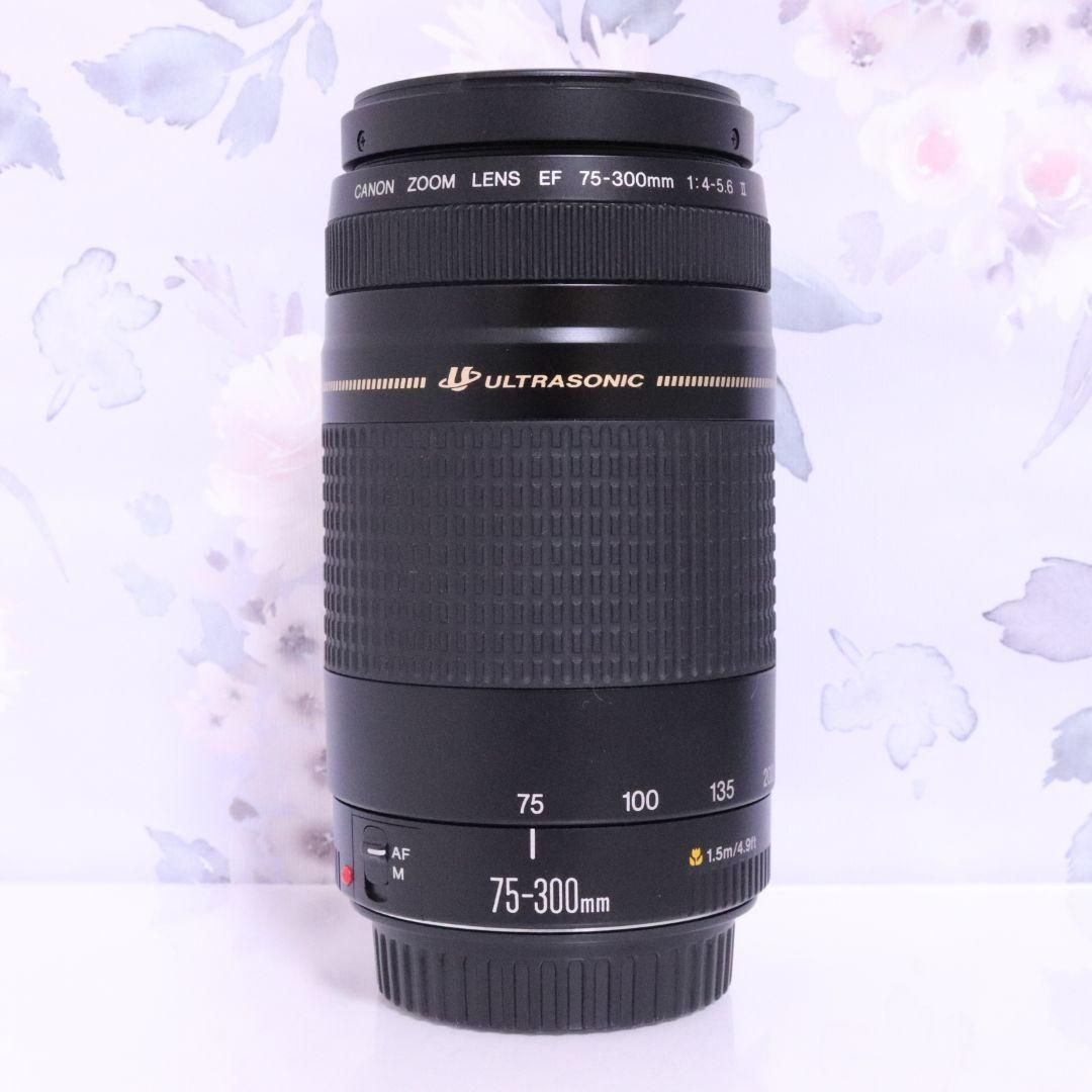 ☆運動会☆イベント☆キャノン Canon EF75-300㎜　USM 運動会☆イベント☆キャノン Canon EF75-300㎜ USM 【公式通販】