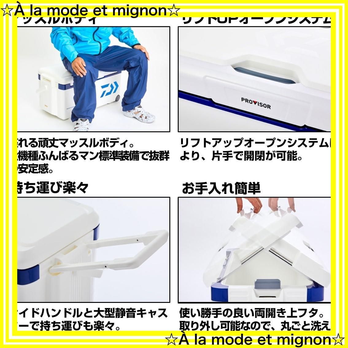 スピード発送】II 3500(35リットル) プロバイザートランクHD